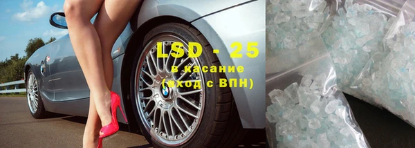 PSILOCYBIN Каменногорск