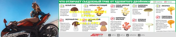 ешки Каменка