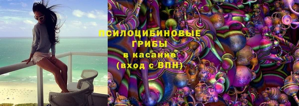 PSILOCYBIN Каменногорск