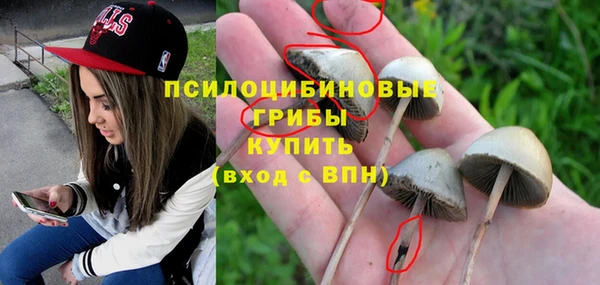 ешки Каменка
