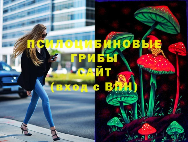 PSILOCYBIN Каменногорск