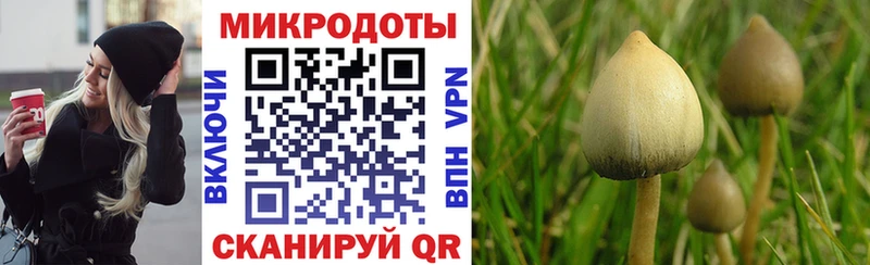 Псилоцибиновые грибы MAGIC MUSHROOMS  Купить где  Лаишево 